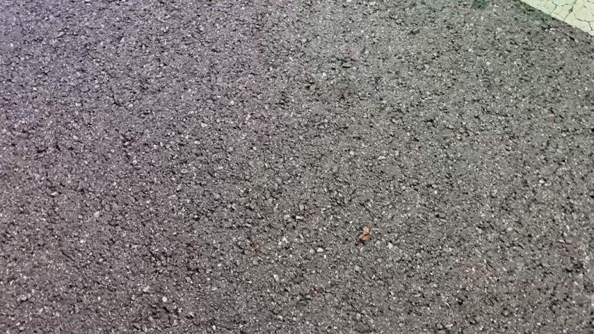 thumbnail-10